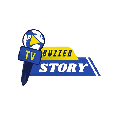 Buzzer Story web development company in India
